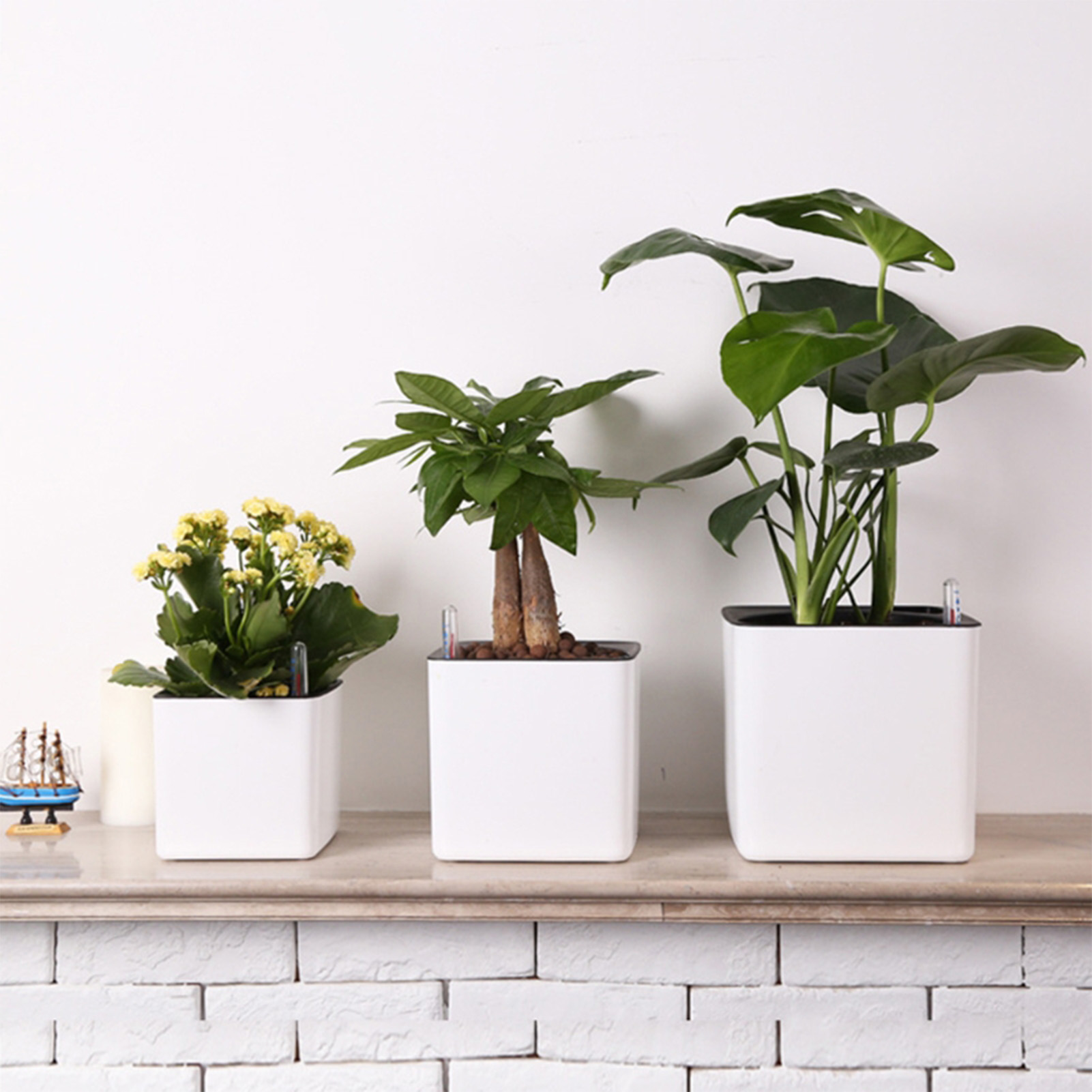 Aloe Vera Pot - Vaso Autoirrigável com Indicador de Nível