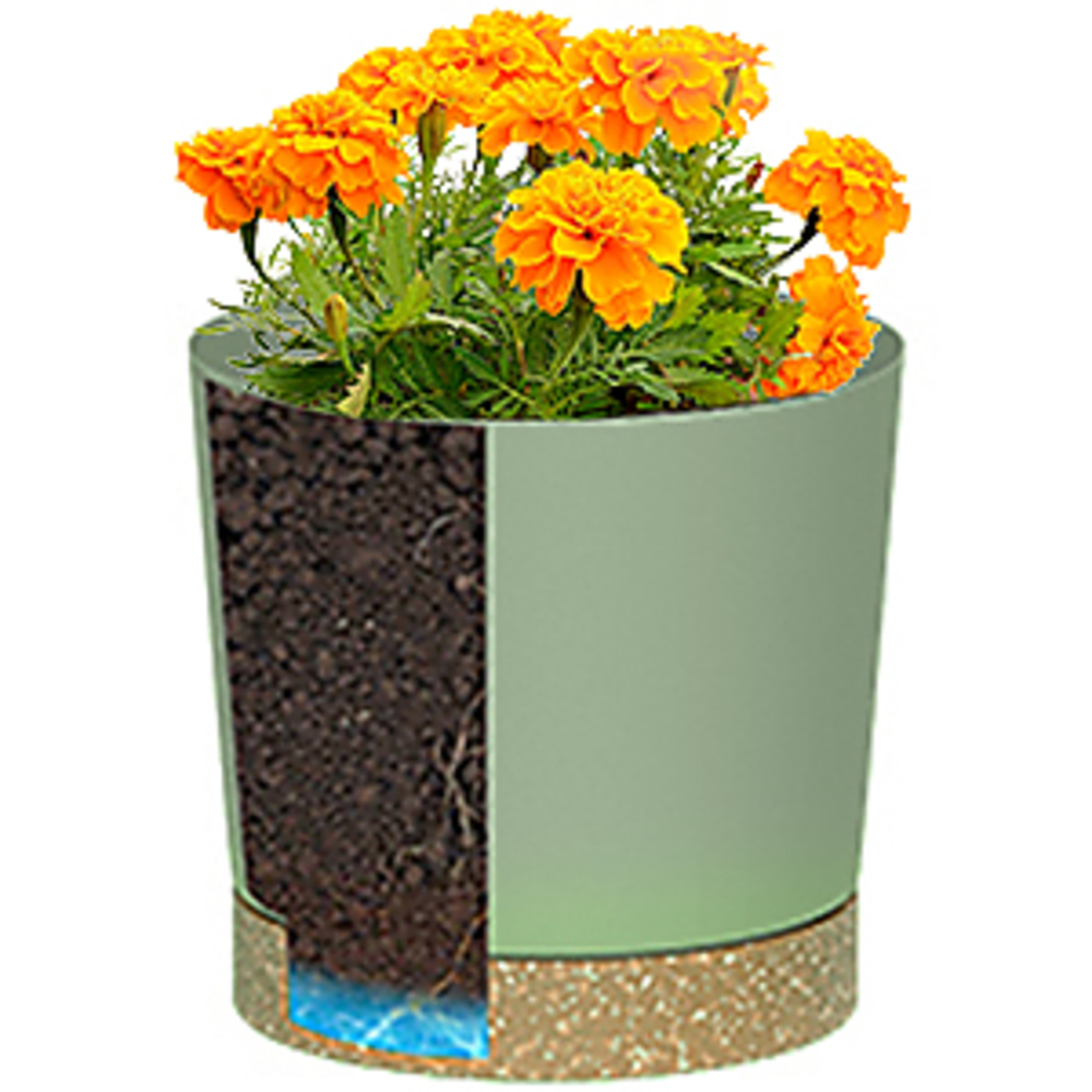 Vasos para plantas, vasos gran - Aloe Vera Pot avaliação e preço